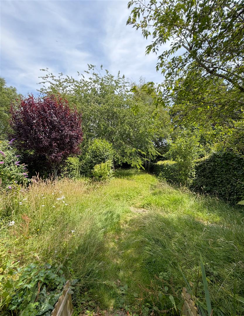 St. Lukes Drive, 